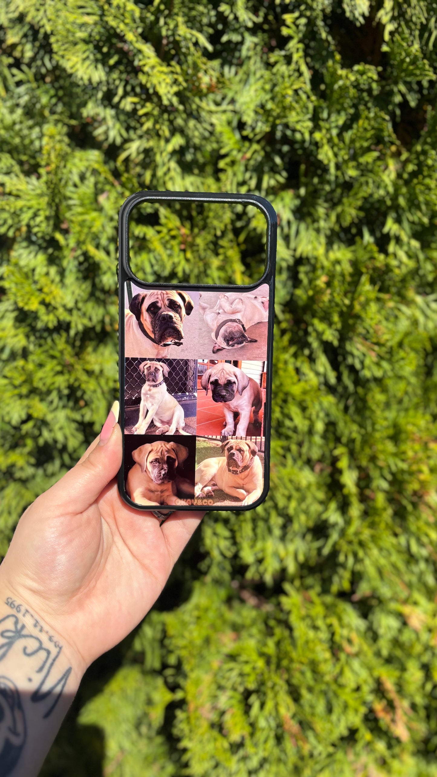 Phone Cases NON MagSafe